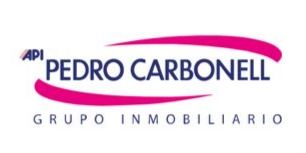 GRUPO INMOBILIARIO PEDRO CARBONELL