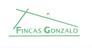 FINCAS GONZALO