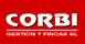 Properties CORBI 