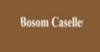 Properties BOSOM CASELLES