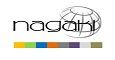 NAGAKI SERVEIS INMOBILIARIS