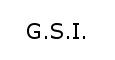 G.S.I.