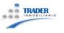 TRADER INMOBILIARIO