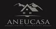ANEUCASA