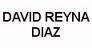 DAVID REINA DAVID REINA