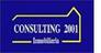 CONSULTING 2001 INMOBILIARIA CONSULTING 2001 INMOBILIARIA