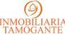 TAMOGANTE SERVICIOS INMOBILIARIOS SL - B44902435