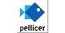 Immobles PELLICER