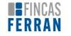 Immobles FINCAS FERRAN
