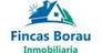 Properties FINCAS BORAU