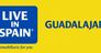 SATIR SERVICIOS INTEGRALES S.L.