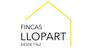 Immobilien Fincas Llopart