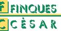 FINQUES CESAR