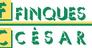 FINQUES CESAR SOCIEDAD LIMITADA.