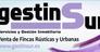 GESTINSUR SIGLO XXI, S.L