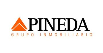 GRUPO PINEDA PUIG