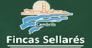 FINCAS SELLARÉS