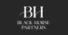 Properties BLACK HORSE PARTNERS
