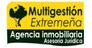Properties MULTIGESTION EXTREMEÑA