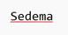 Inmuebles SEDEMA