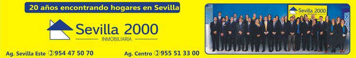 INMOBILIARIA SEVILLA 2000