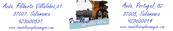 INMOBILIARIA PLAZA MAYOR