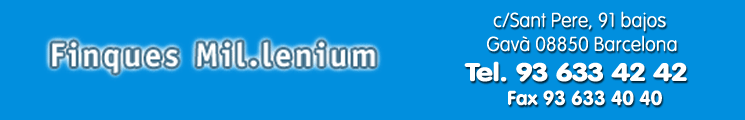 FINQUES MIL·LENIUM