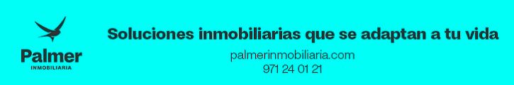 PALMER INMOBILIARIA