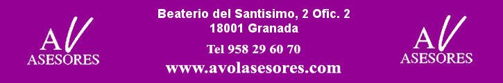 AVOL ASESORES