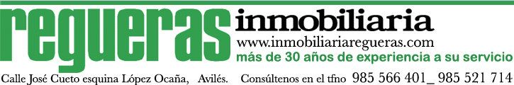 REGUERAS INMOBILIARIA