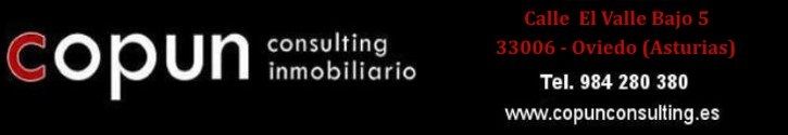 COPUN CONSULTING INMOBILIARIO