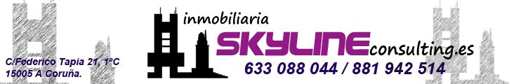 SKYLINE CONSULTING