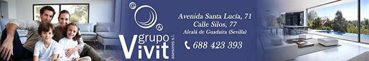 GRUPO VIVIT