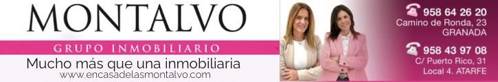 MONTALVO GRUPO INMOBILIARIO