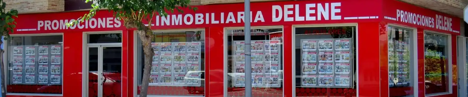 DELENE INMOBILIARIA