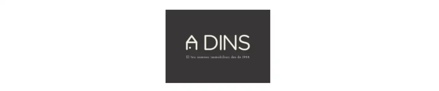 INMOBILIARIA A DINS