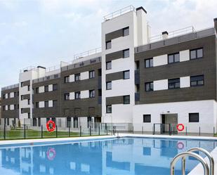 Swimming pool of Planta baja for sale in Valladolid Capital  with Terrace