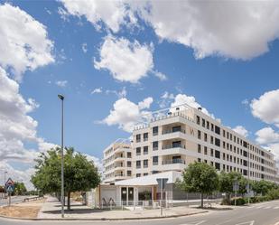 Calle Nuevo Bulevar de Mairena, Nuevo Bulevar, Mairena del Aljarafe, Sevilla