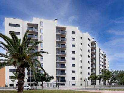 Exterior view of Flat to rent in Alicante / Alacant  with Terrace
