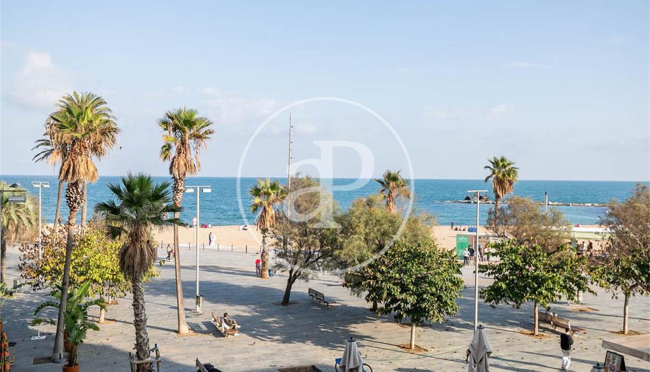 Photo 0 of Promotion Vivienda con vistas al mar en la Barceloneta